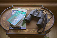 Birdwatching at our B&B