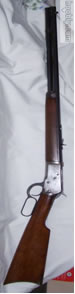 Winchester .25-20