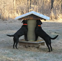 Friends at Woodland Trails