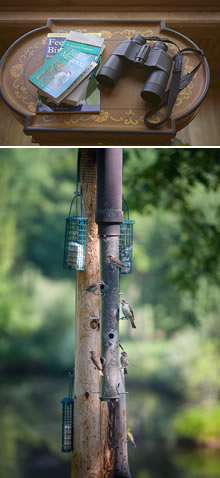 Special birding package for a weekend getaway