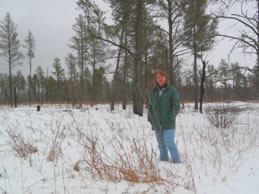 St. Croix State Park biologist