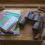 Binoculars & Bird Book