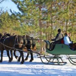 Sleigh Rides  (EDITED)